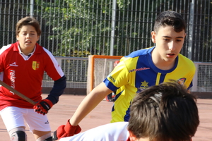 img 5720 30765150270 o