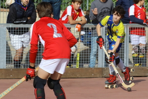img 5946 30326131743 o