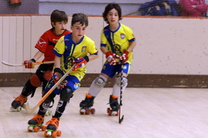 img 3584 30191299034 o